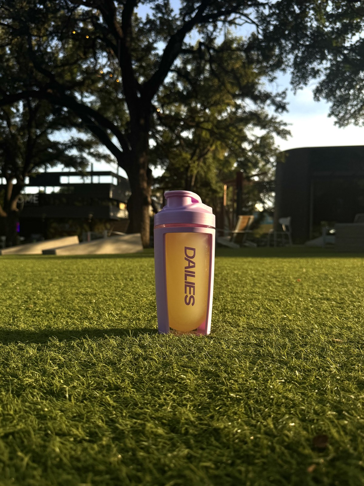 Dailies shaker bottle on sunlit grass