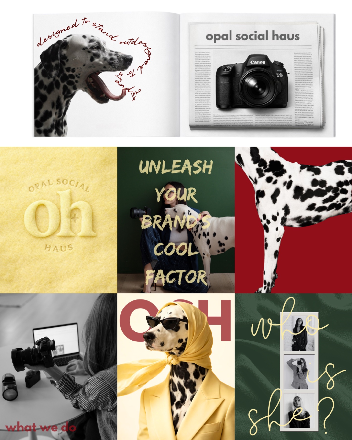 Feed redesign in context. Read as a grid, the account now has a visible logic — statement, work, statement, of