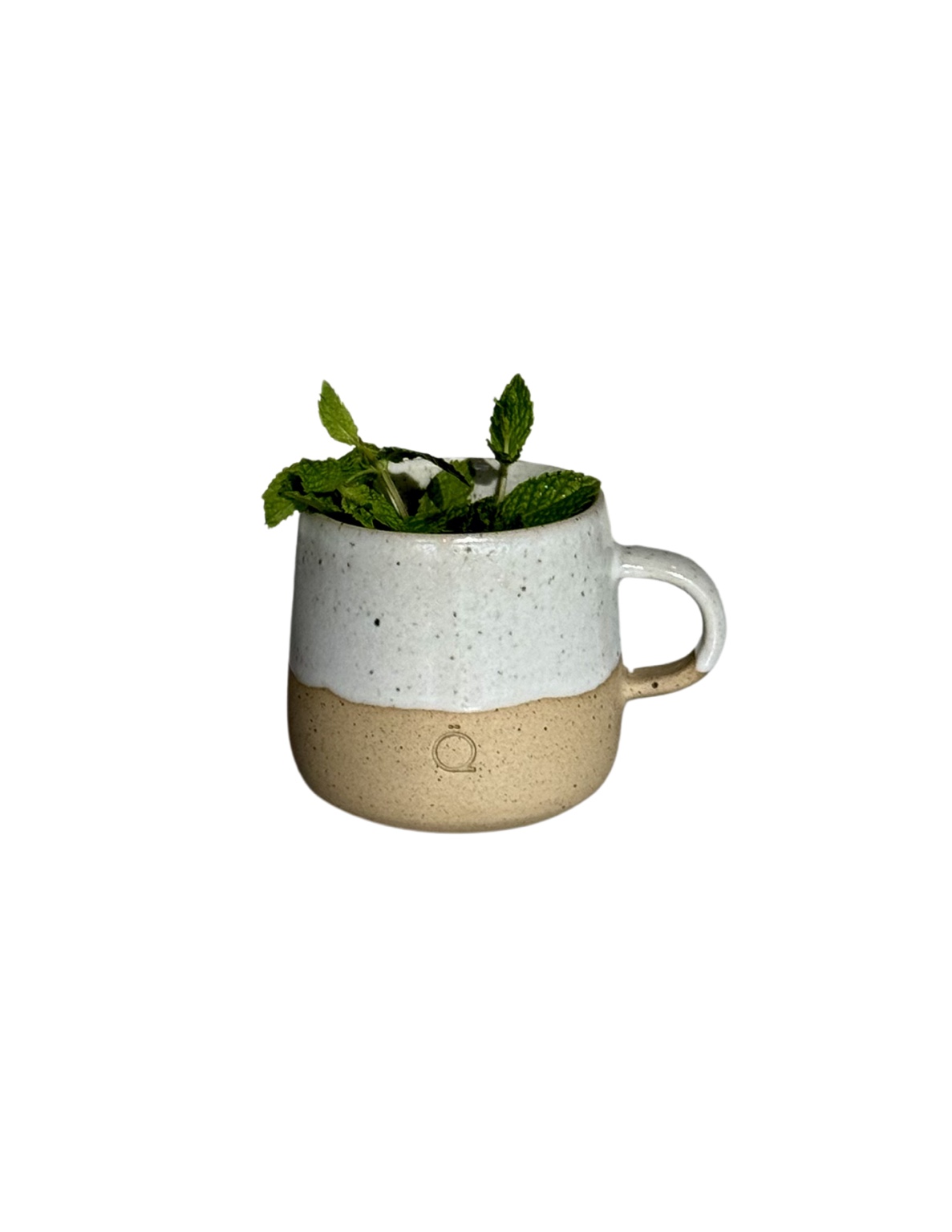 Ceramic and mint — texture work that keeps the library from flattening out.